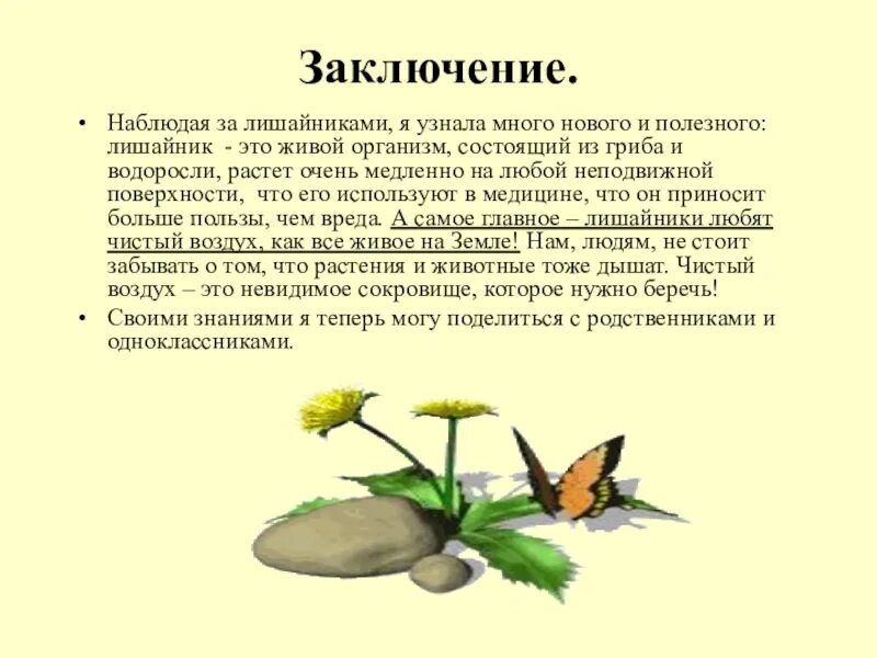 Выводы по теме лишайники. Вывод о лишайниках. Вывод о лишайников. Лишайники 5 класс биология выводы. Вывод лишайников