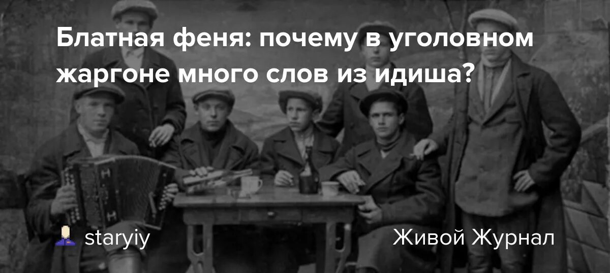 Песня жаргон. Феня блатной жаргон. Что такое Феня на тюремном жаргоне. Феня блатной жаргон словарь. Уголовный (Феня) сленг.