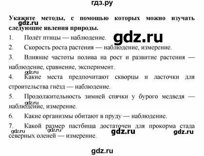 Что такое схема в биологии 5 класс