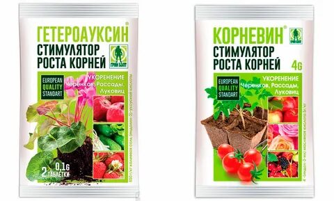 Корневин для рассады томатов