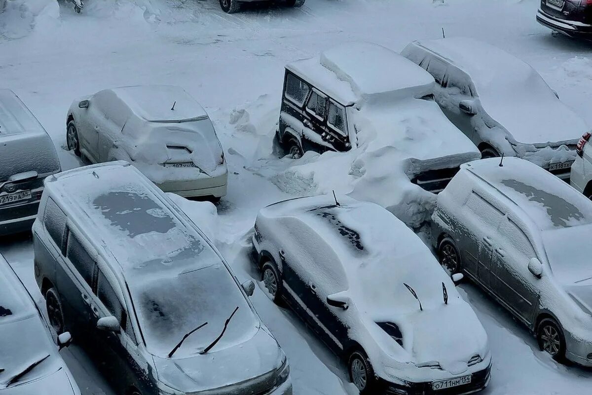Снег. Сильная метель на Сахалине. Снежный ураган. Сильный снегопад фото. Метель завтра