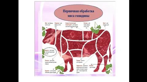 Обработка говядины