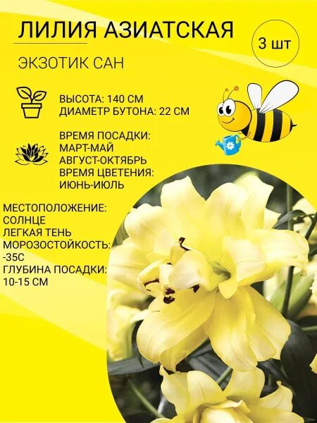 Лилия Экзотик Сан, еще 200 сортов(луковицы) другое купить в Москве Товары для до