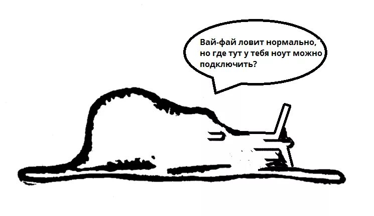 Как лучше ловить вай фай. Сон как вай фай ловит везде. ловить вай фай. сон как вай фай ловит везде на работе на улице.