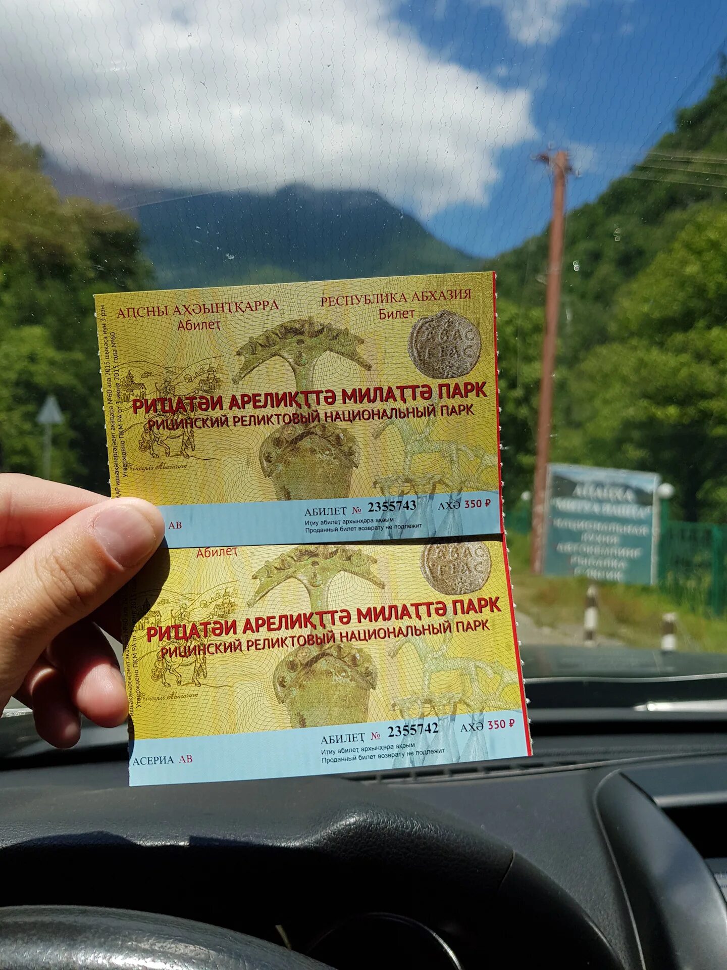 Рицинский реликтовый национальный парк билет. Билеты в Абхазию. Абхазия билеты на самолет. Билет на самолет до Абхазии.