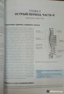 Травма спинного мозга восстановление