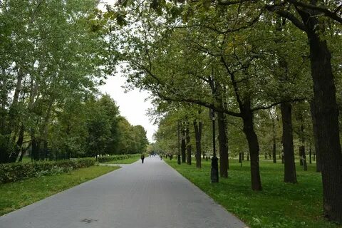 Парк останкино москва фото