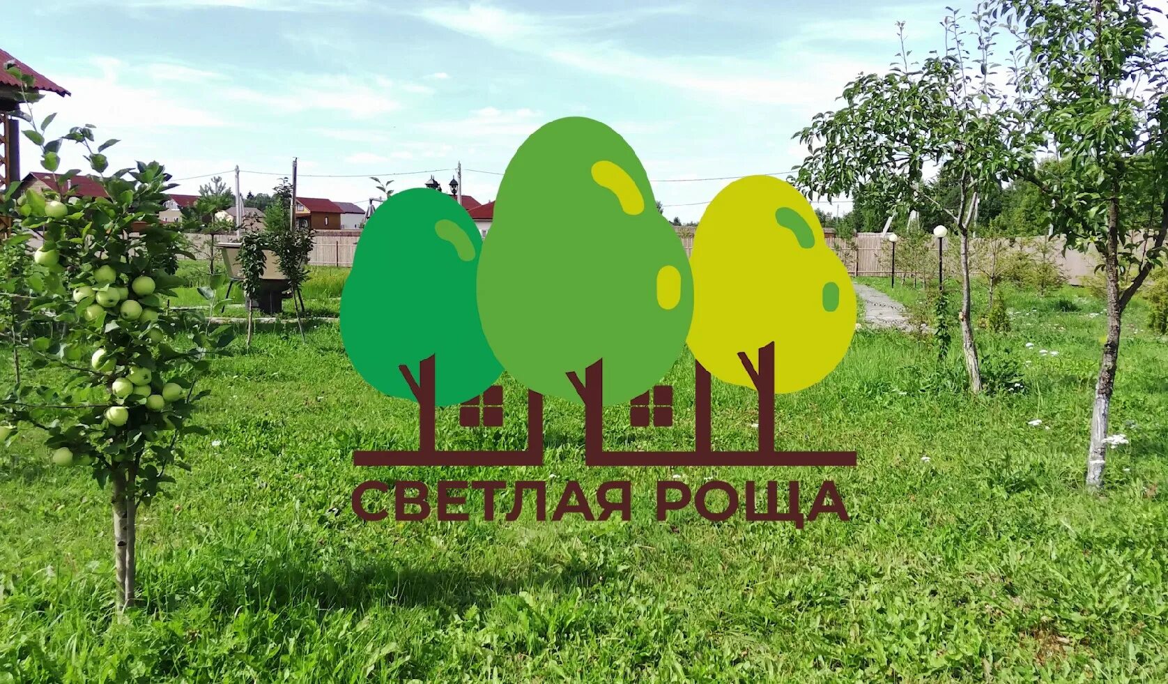 Кубок первого шахматиста мира. Роща 2022. Соревнования в бариновой роще. Чемпионат владимирской области по футболу. Роща 2022.