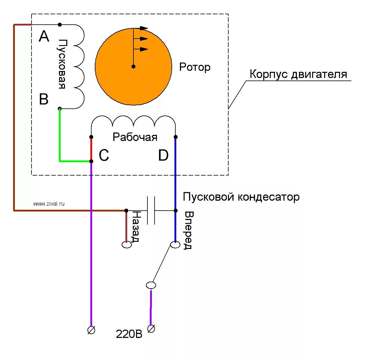 Схема подключения трёхфазного электродвигателя на 220 с реверсом. Однофазный электродвигатель 220в схема подключения. Схема подключения роторного электродвигателя 220в. Схема подключения однофазного реверсивного электродвигателя. Направление вращения однофазного двигателя