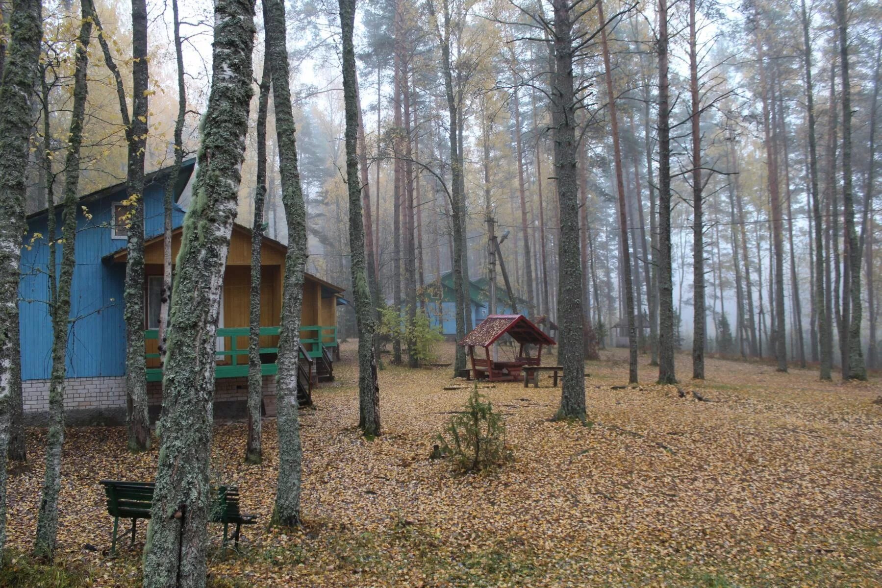 База Алоль Псков. Турбаза Алоль озеро. База отдыха Алоль Псковская. Алоль турбаза в Псковской. Базы отдыха псковской области на озере