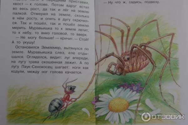 Бианки рассказы 3 класс литературное чтение. Произведения бианки приключения муравьишки. иллюстрации к сказке путешествие муравьишки.