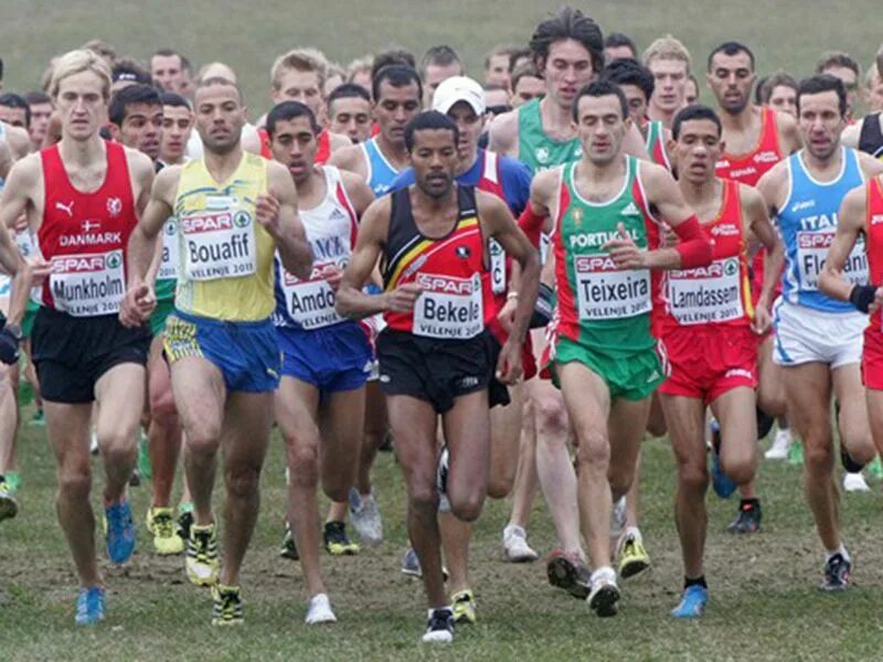 Cross Country Race. Country Race Cross Country. Чемпионат Европы по кроссу 2009. Спортсмены после кросса. Country race