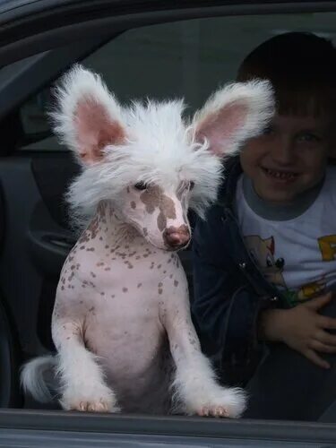 Интересные фотографии. Фонтаны мира смешные. Верьте в чудеса. Самое смешное чудо. Самое смешное чудо.