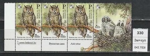 Бел сова 9