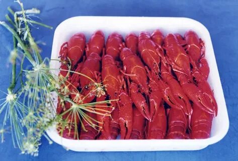 Раки можно замораживать свежие