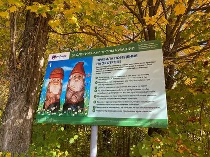 Экологическая тропа осенью