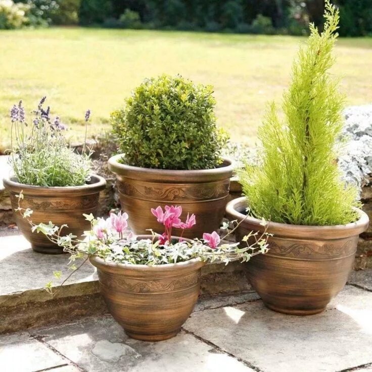 Projeto de paisagismo belíssimo #decor vasos #decoração #decorar." Outdoor plant