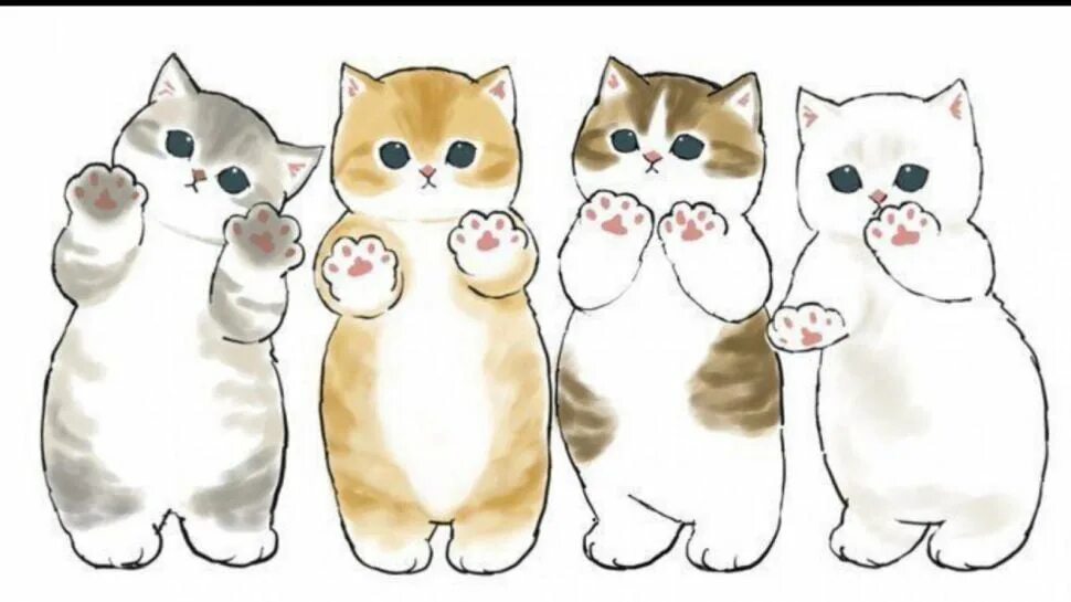 Милые котики с одеждой распечатать из пинтереста. Мофу санд котики. котики mofu. котята mofu sand. котик kitten mofu sand.