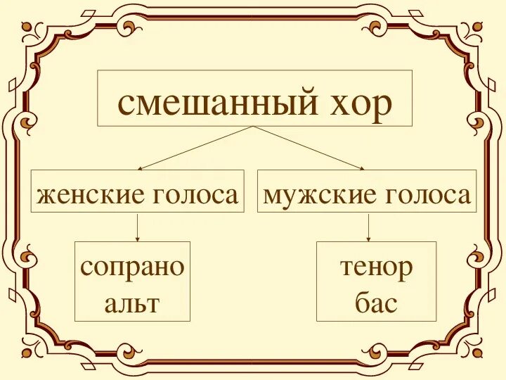Певческие голоса характеристика мужских, женских и детских голосов