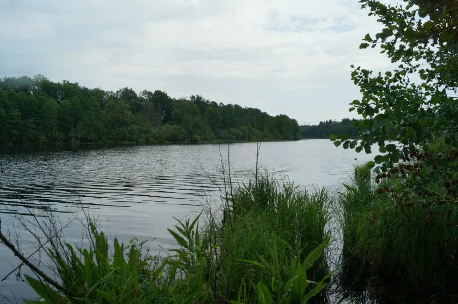 Оз ок. Озеро балтым. Природа сибири. Оз ок. Национальный парк татры и озеро «морское око».