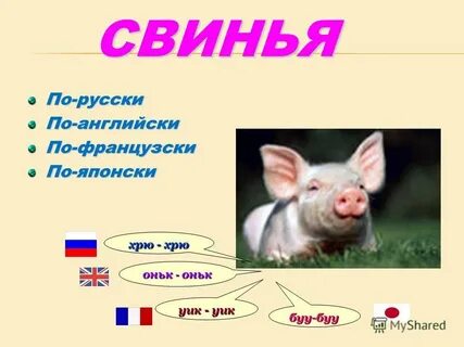 Звуки хрюкания
