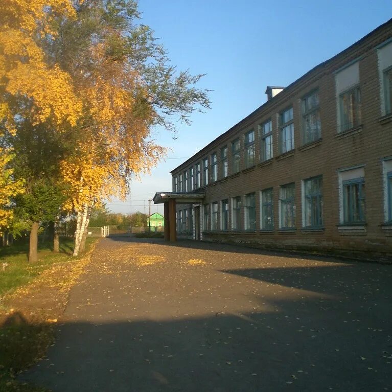 Бузулук новоалександровка. Новоалександровка Бузулукский район школа. С Дмитриевка Бузулукский район Оренбургская область. Село Новоалександровка Бузулукский район Оренбургская область. Школа Бузулукского района.