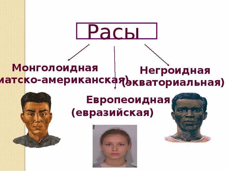 Расы людей для детей. Расы и народы 5 класс география полярная звезда. Расы и народы земли. 4 расы людей. Расы и народы 5 класс география.