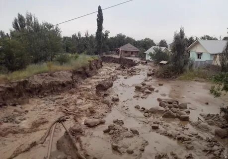 Самые сильные сели