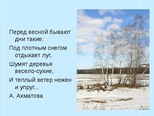 Стих перед весною дни такие. Стих Ахматовой перед весной бывают дни такие. Стихотворение Ахматовой перед весной. Весной бывают дни таки.