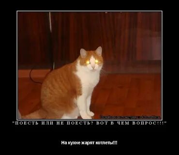 Даже не обедаешь