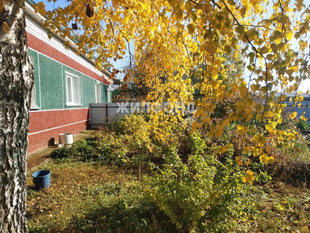 Погода в новокузьминке новосибирская область ордынский. Новокузьминка. Село козиха новосибирская область ордынский. Погода в новокузьминке новосибирская область ордынский. Погода в новокузьминке новосибирская область ордынский.