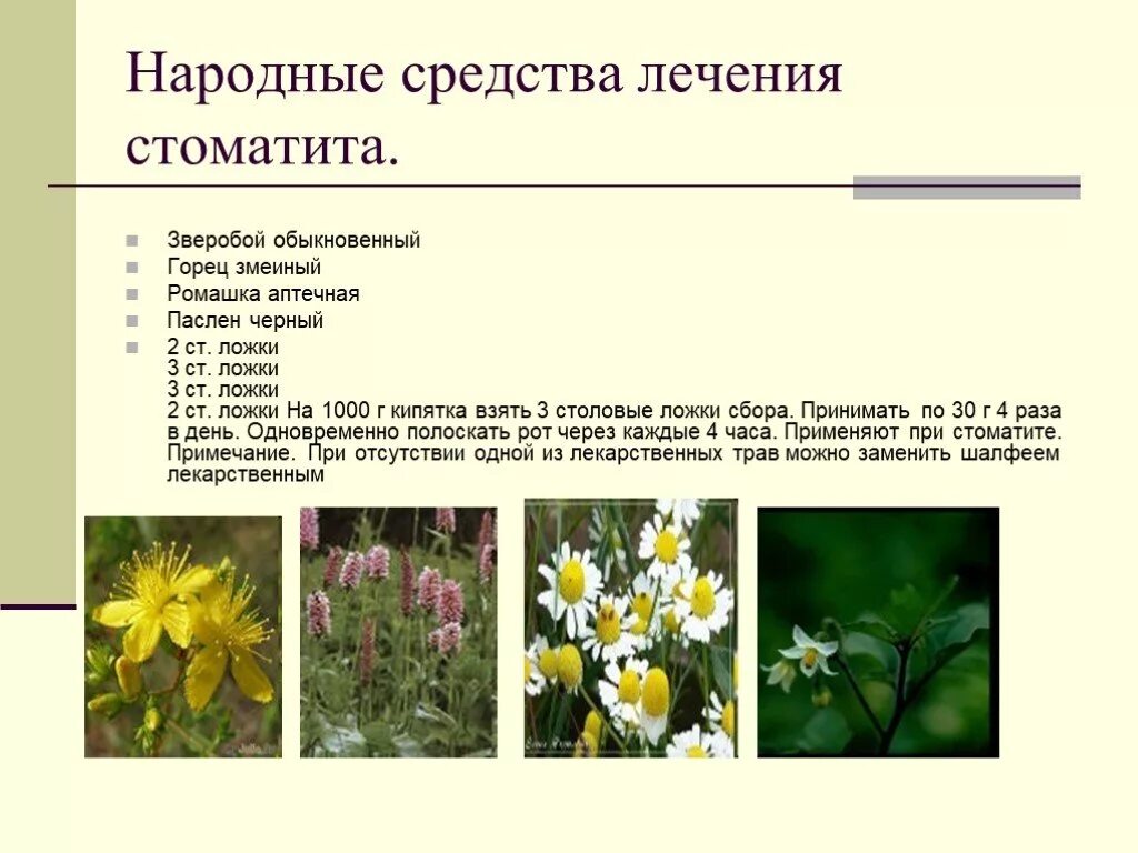 Систематика ромашки аптечной. Систематическая классификация ромашки аптечной. Ромашка классификация по биологии 5 класс. Систематика ромашки аптечной. Покрытосеменные аптечная ромашка.