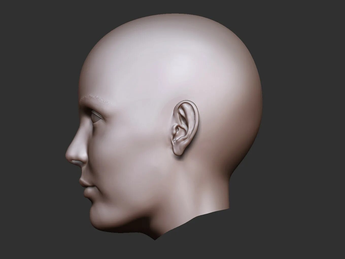Head add. Голова человека. Человеческая голова в профиль. Голова человека в профиль. Человеческая голова со стороны.