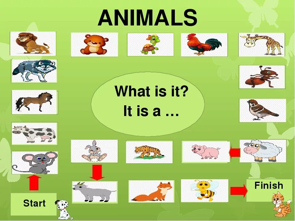 This is my animal. Презентация по английскому языку на тему животные. Английский язык 3 класс тема животные. Тема животные по английскому языку 3 класс. Животные на английском 2 класс.