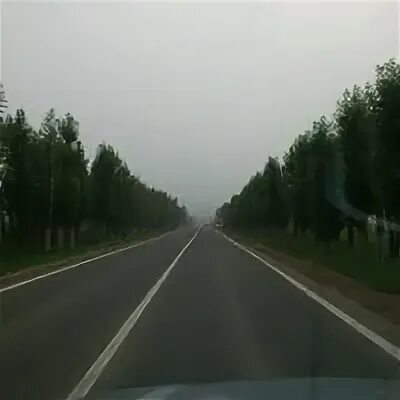 Власиха октябрьский