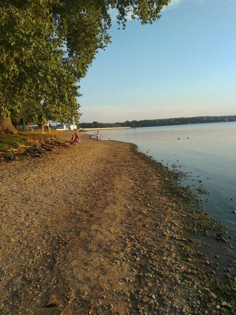 Пляж 2 минское море. Золотые пески белоруссия. Пляж 5 минское море фото. Пляж 2 минское море. Заславское водохранилище санаторий юность.