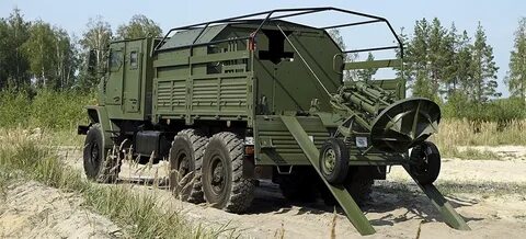 Мальва артиллерийская