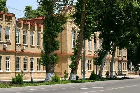 Университет гимназия