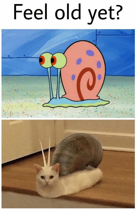 Feel felt learn. Feel old yet. feel old мем. yet мем. feel old yet meme.