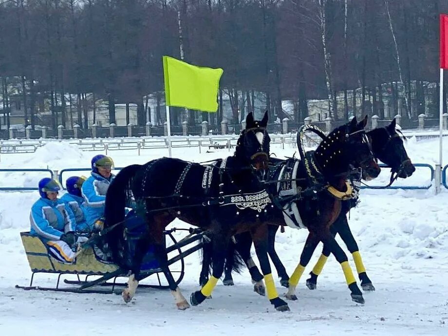 Тройки сильнейших. Костромской ипподром Кострома. Ипподром Кострома гонки. Костромской ипподром азарт. Тройка Кострома.