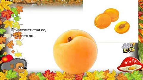 Беседа что нам осень принесла