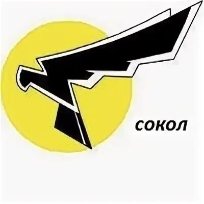 Воронеж сокол