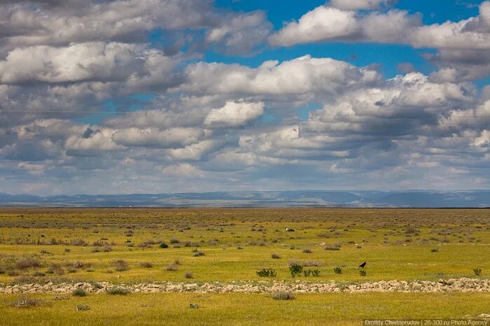 бесконечные просторы. великая степь. предгорье алтая. семипалатинск степь. степи равнины ставропольского края.