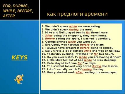 Предлог during