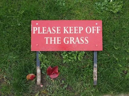 He the grass