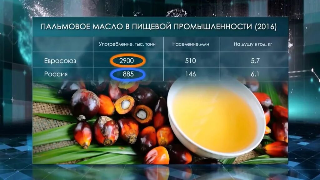 В каких продуктах пальмовое масло в россии. Потребление пальмового масла по странам. Пальмовое масло в пищевой промышленности. Пальмовое масло в России. Страны Лидеры по потреблению пальмового масла.