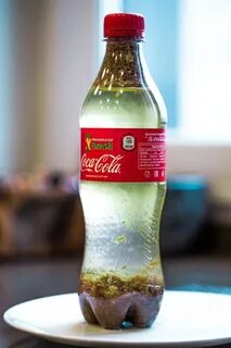 Молоко кок