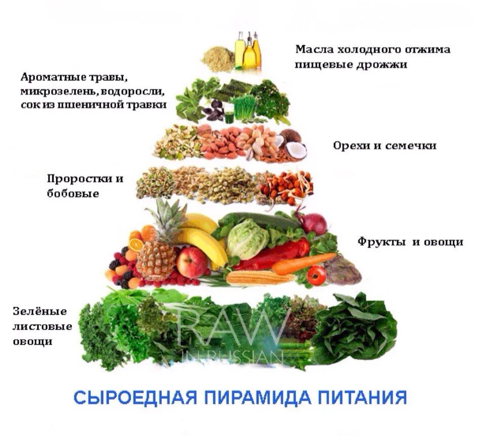 Здоровые продукты питания. Вегетарианство пирамида питания. Список продуктов для здорового питания. Пищевая пирамида сыроеда. Что едят вегетарианцы продукты