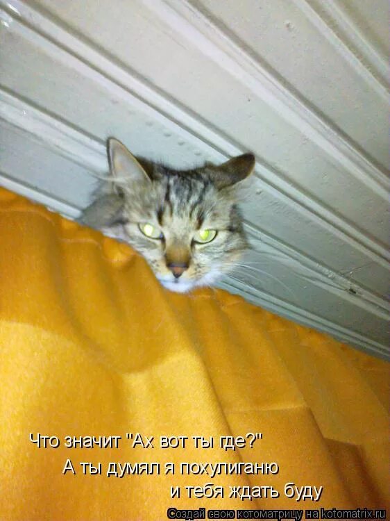 семпай. квадратичная функция ах2+вх+с. мстя моя страшна. стих из междометий. фразы яндере для сенпая.