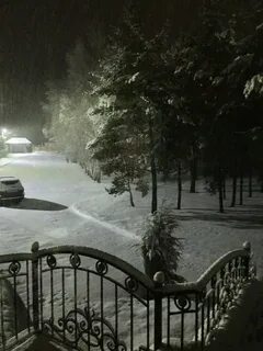 Какая нынче погода